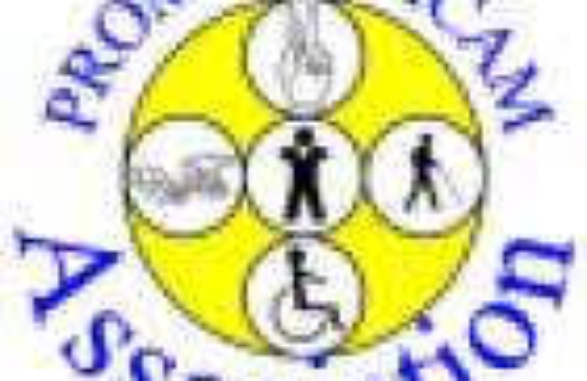 LOGO PROMHANDICAM