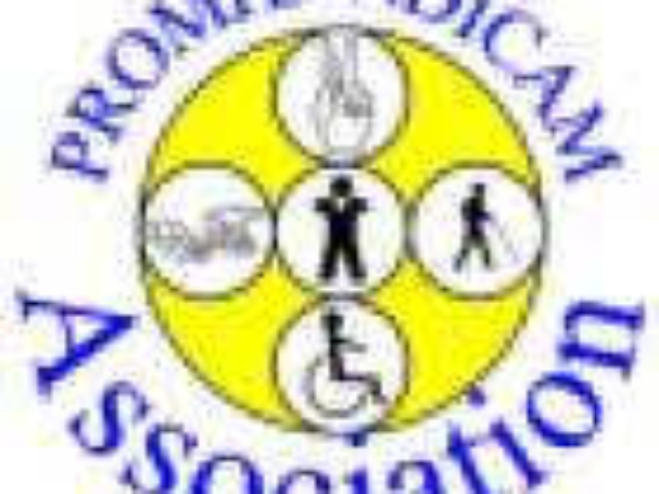 LOGO PROMHANDICAM